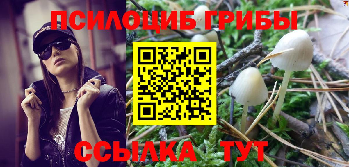 Галлюциногенные грибы мухоморы Строитель