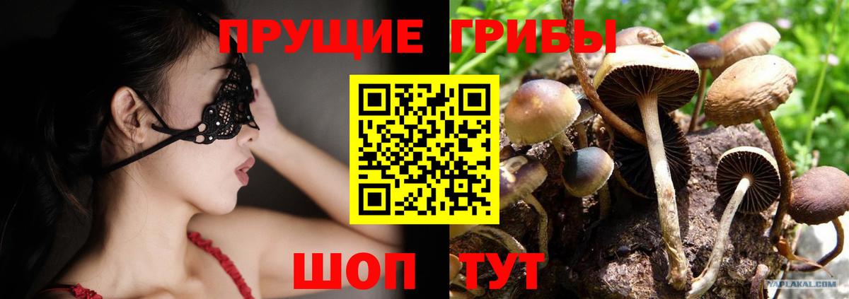 Галлюциногенные грибы Psilocybe  Галлюциногенные грибы Magic Shrooms  Строитель  Вход с VPN 